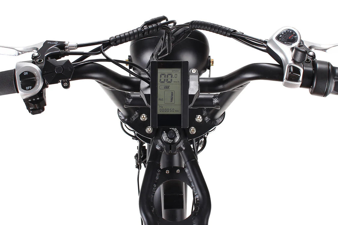 ONWAY Raider Dual Motor E-Bike