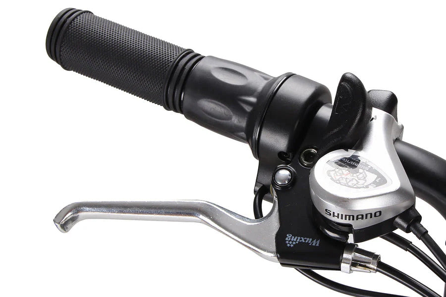 ONWAY Raider Dual Motor E-Bike