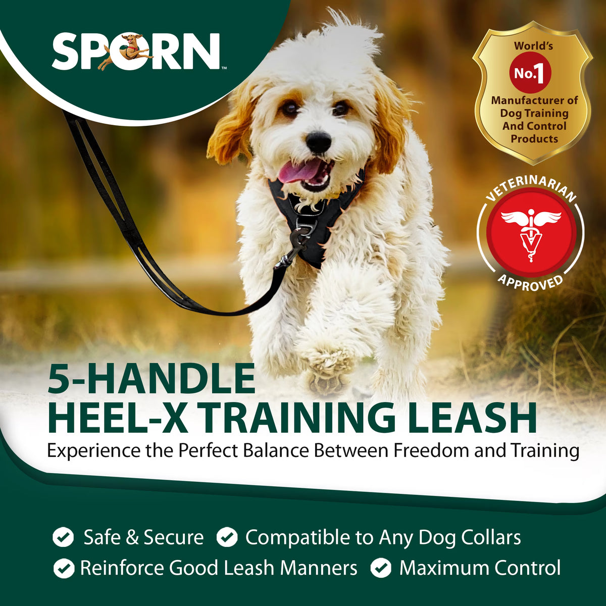 Sporn Heel-X 4 ft Dog Leash, Durable Training  Grip, Black
