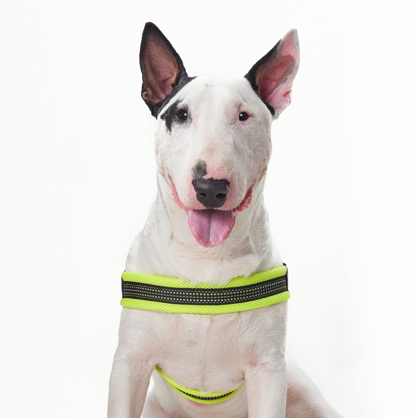 Sporn Easy-Fit Mesh Dog Harness , Yellow 24/CT