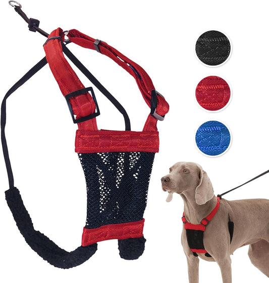 SPORN MESH HARNESS  RD/BLK ASSORTED