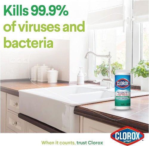 Clorox disinfecting wipes at wholesale price