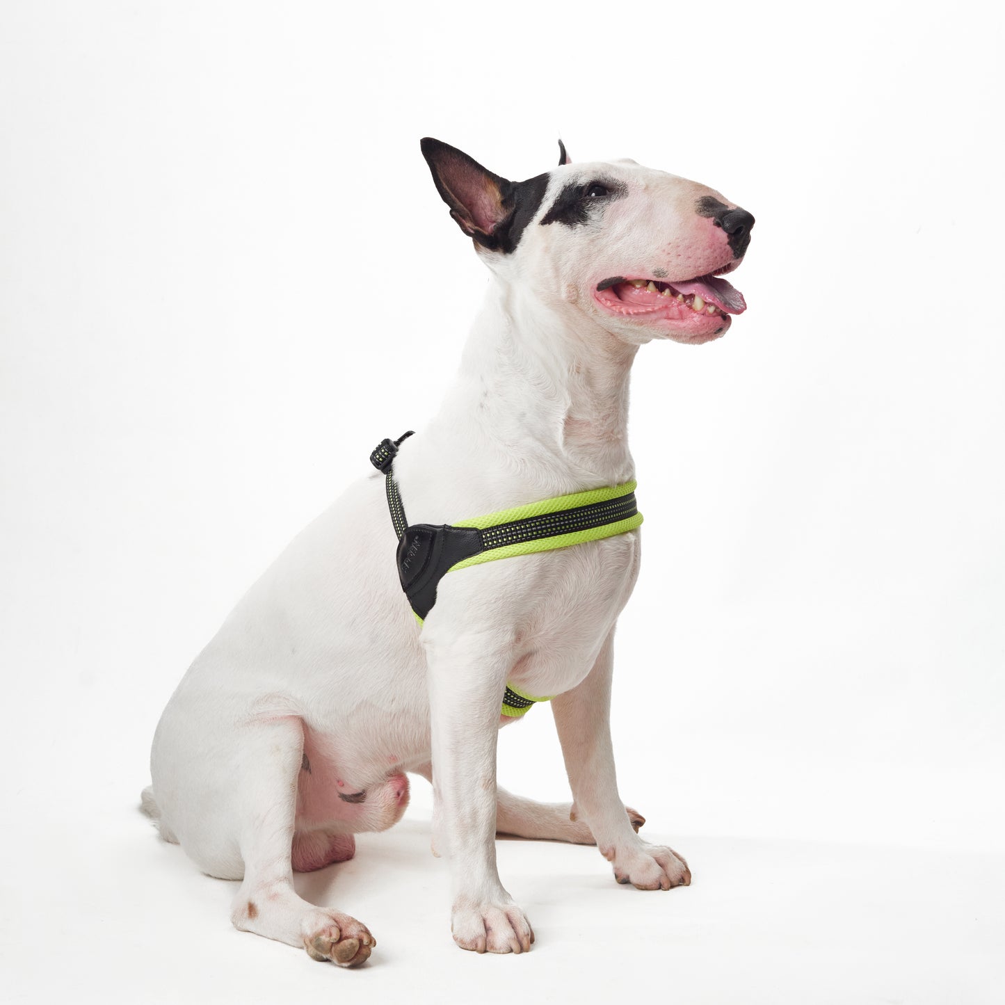 Sporn Easy-Fit Mesh Dog Harness , Yellow 24/CT