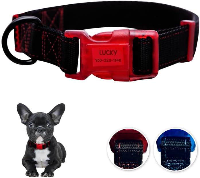 Sporn Dog ID Collar, Red, Small