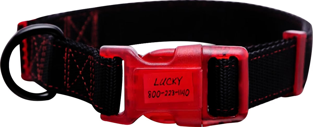 Sporn Dog ID Collar, Red, Medium
