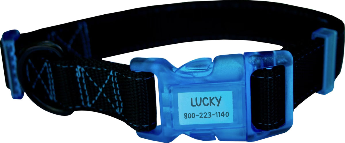 Sporn Dog ID Collar, Blue, Medium
