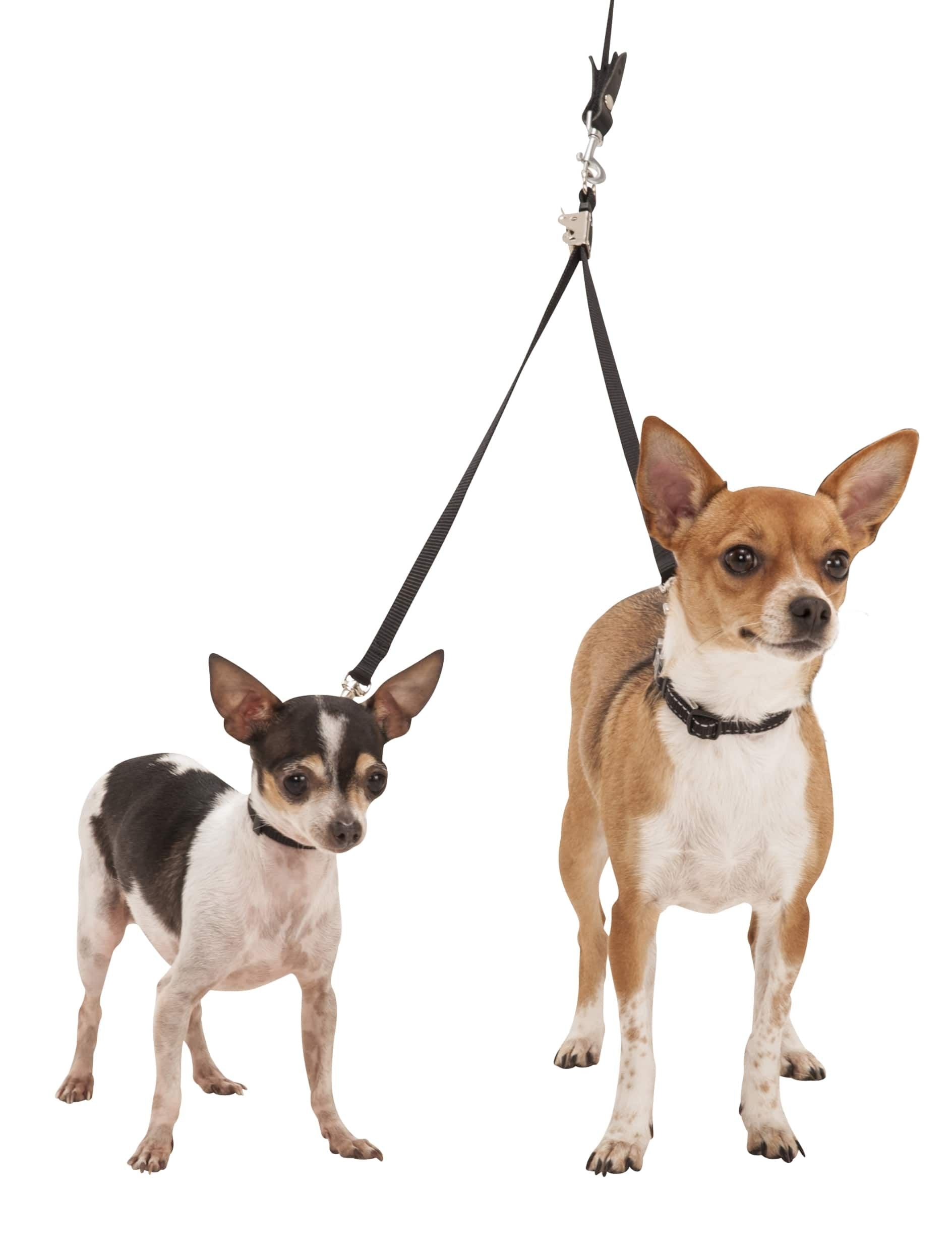 leash to walk two dogs 