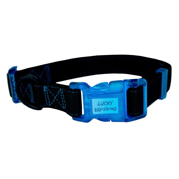 Sporn Dog ID Collar, Blue, Large