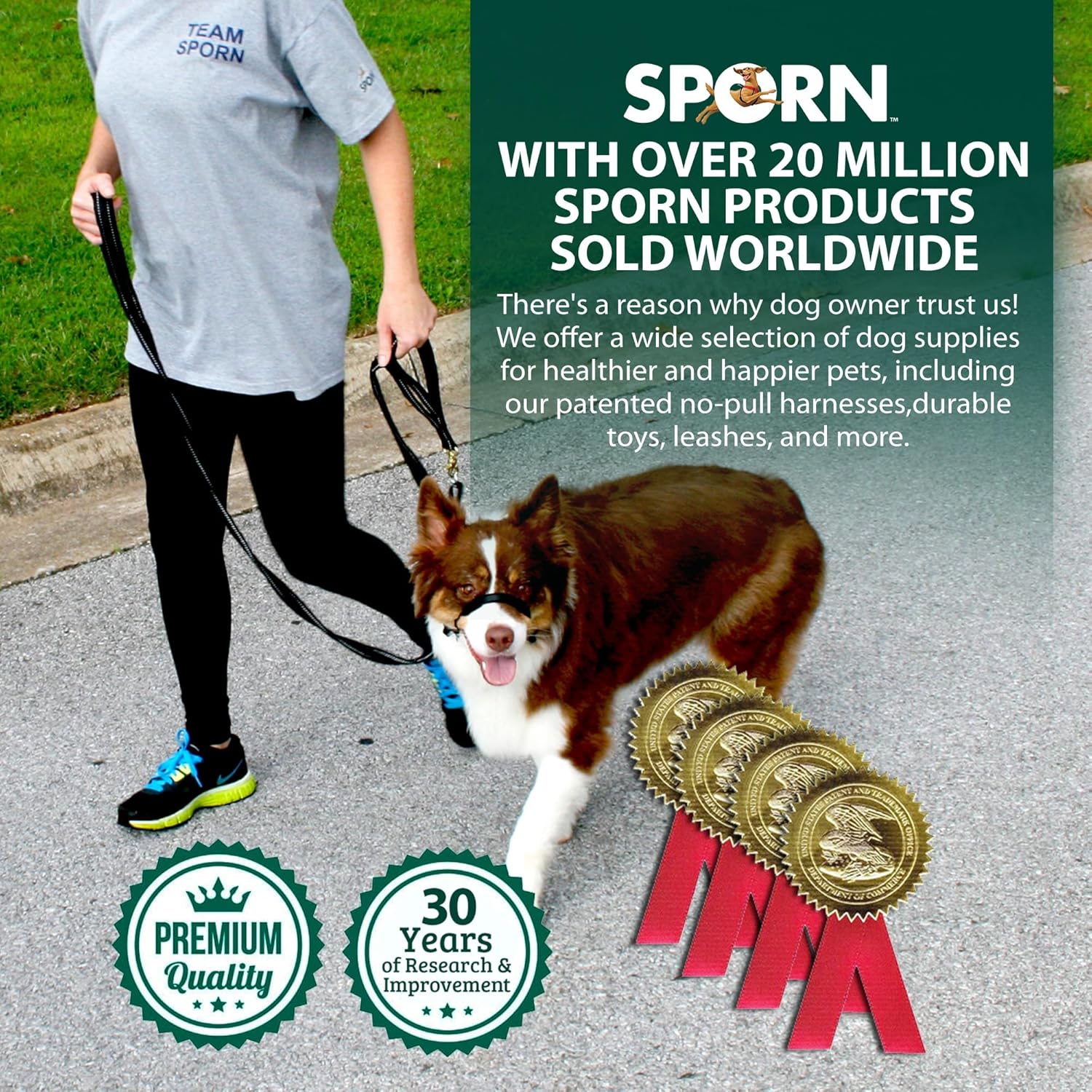 best tools to discipline dog while walking