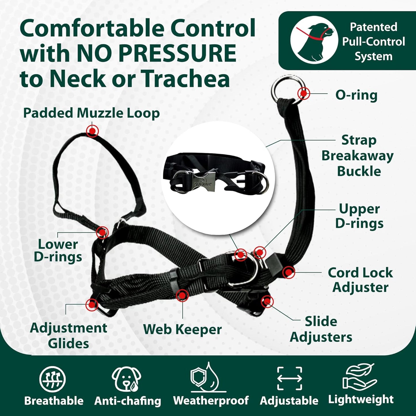 best training tools for strong dogs when they walk