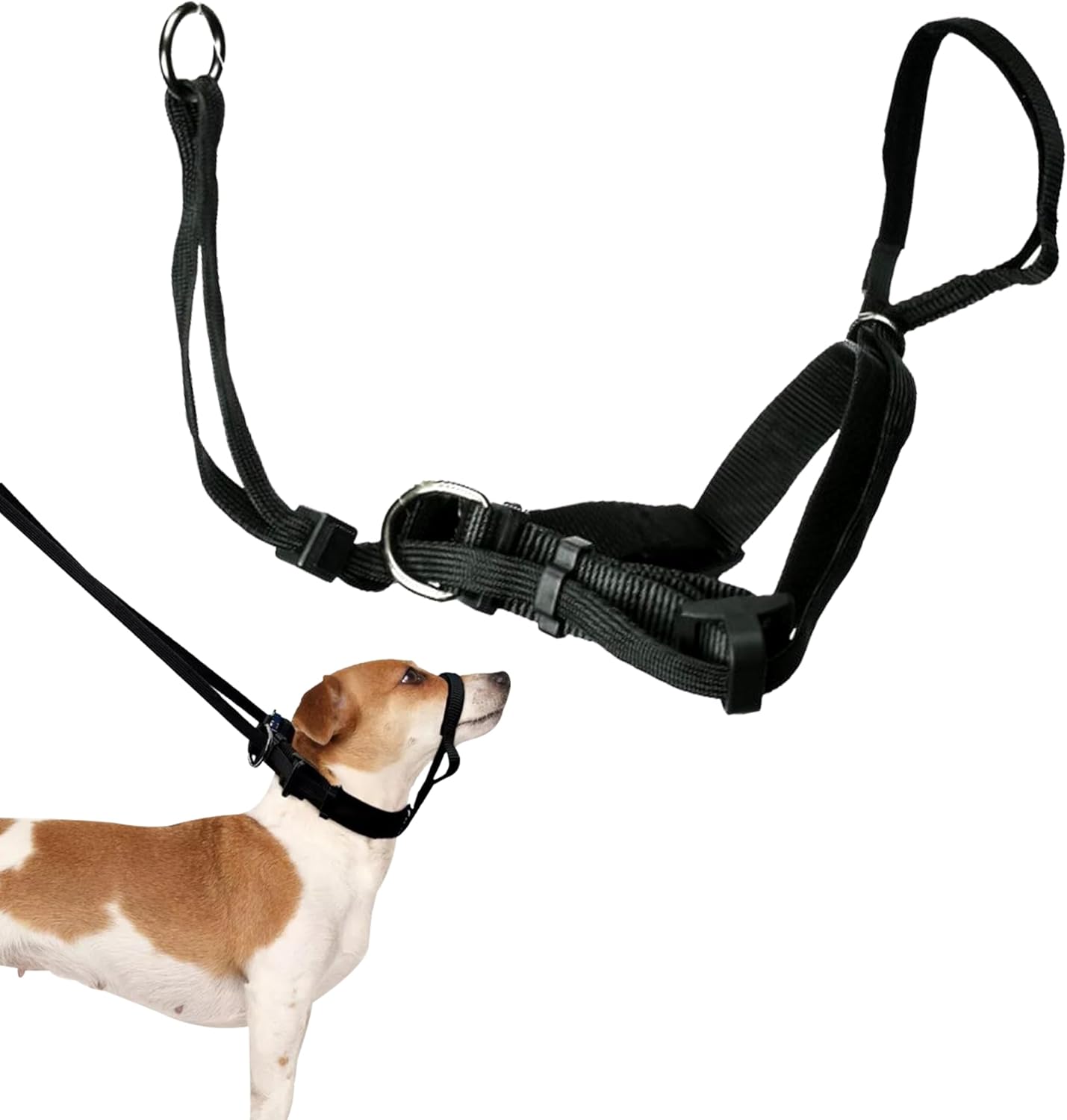 dog head controller for training 