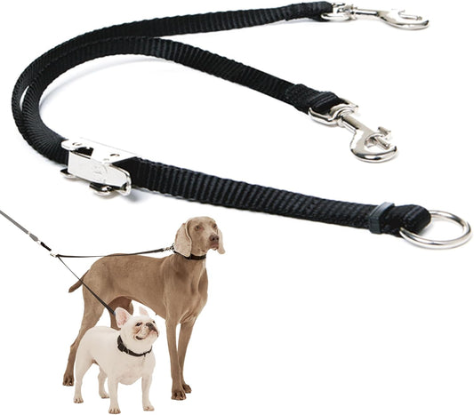 good leash to walk two dogs at once