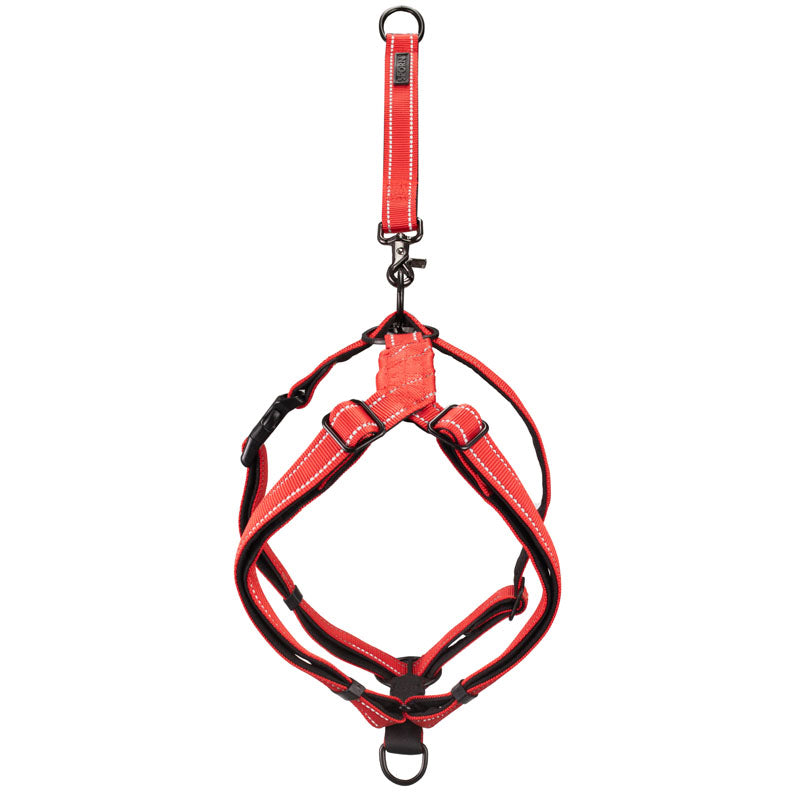 reliable harness from brand name good deal