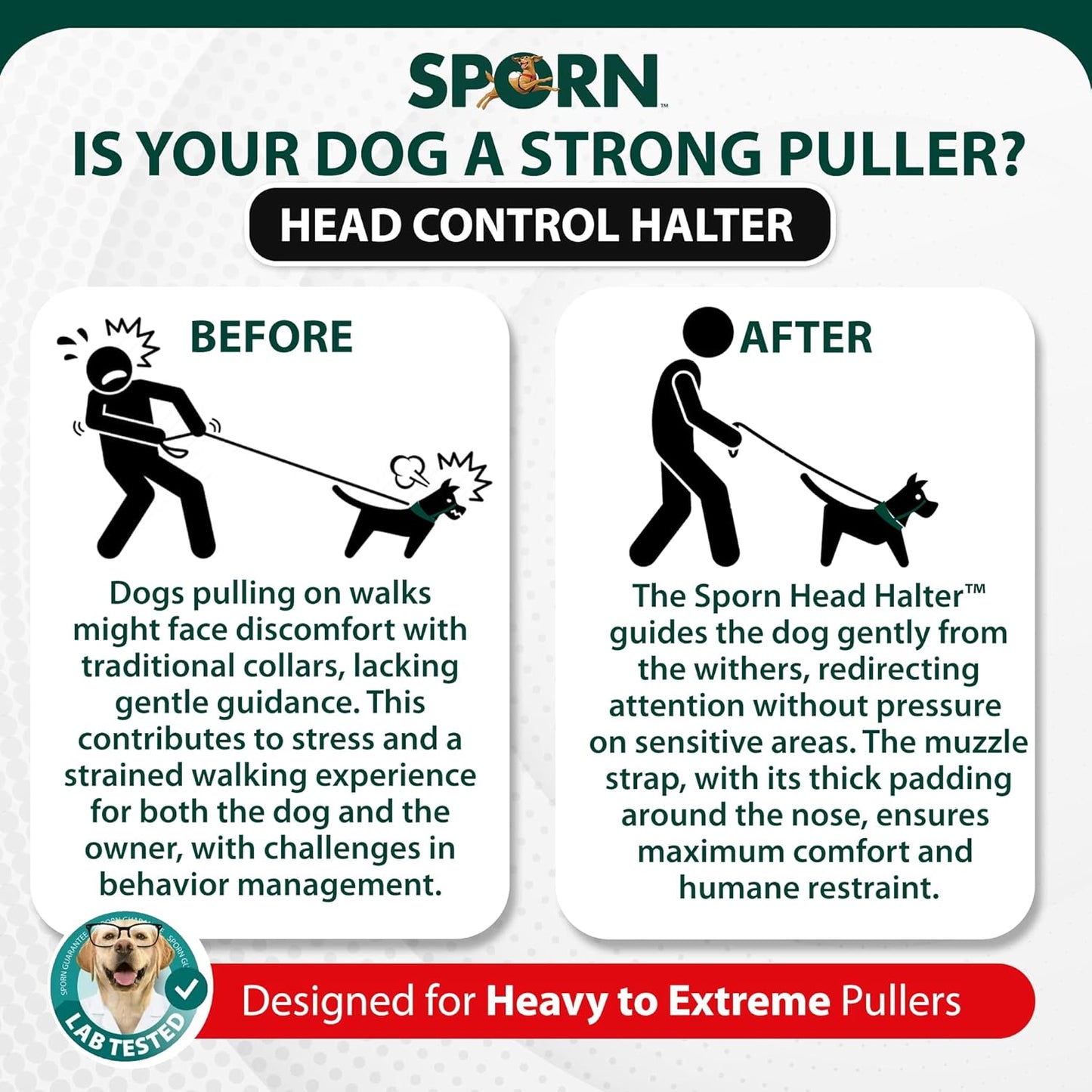 ways to stop your dog from pulling while walking 