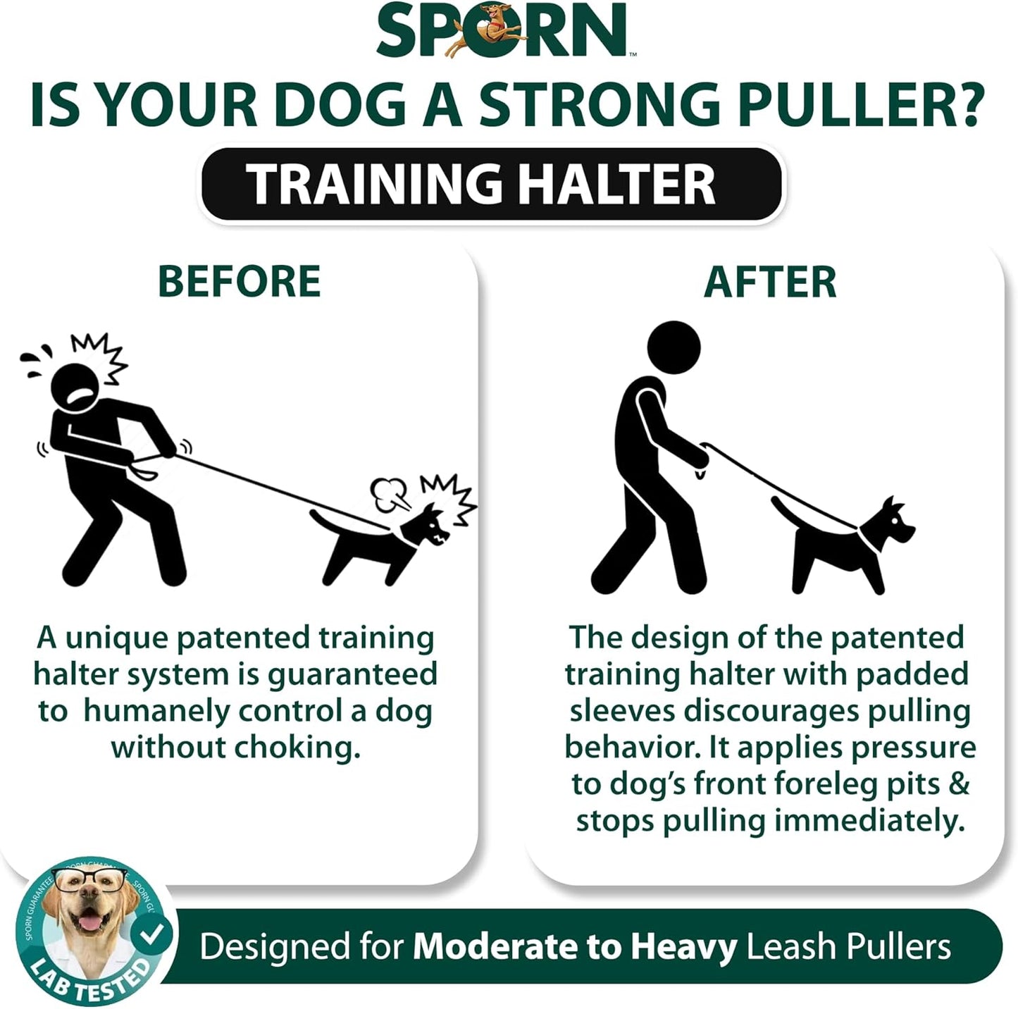 ways to fix your dogs walking 