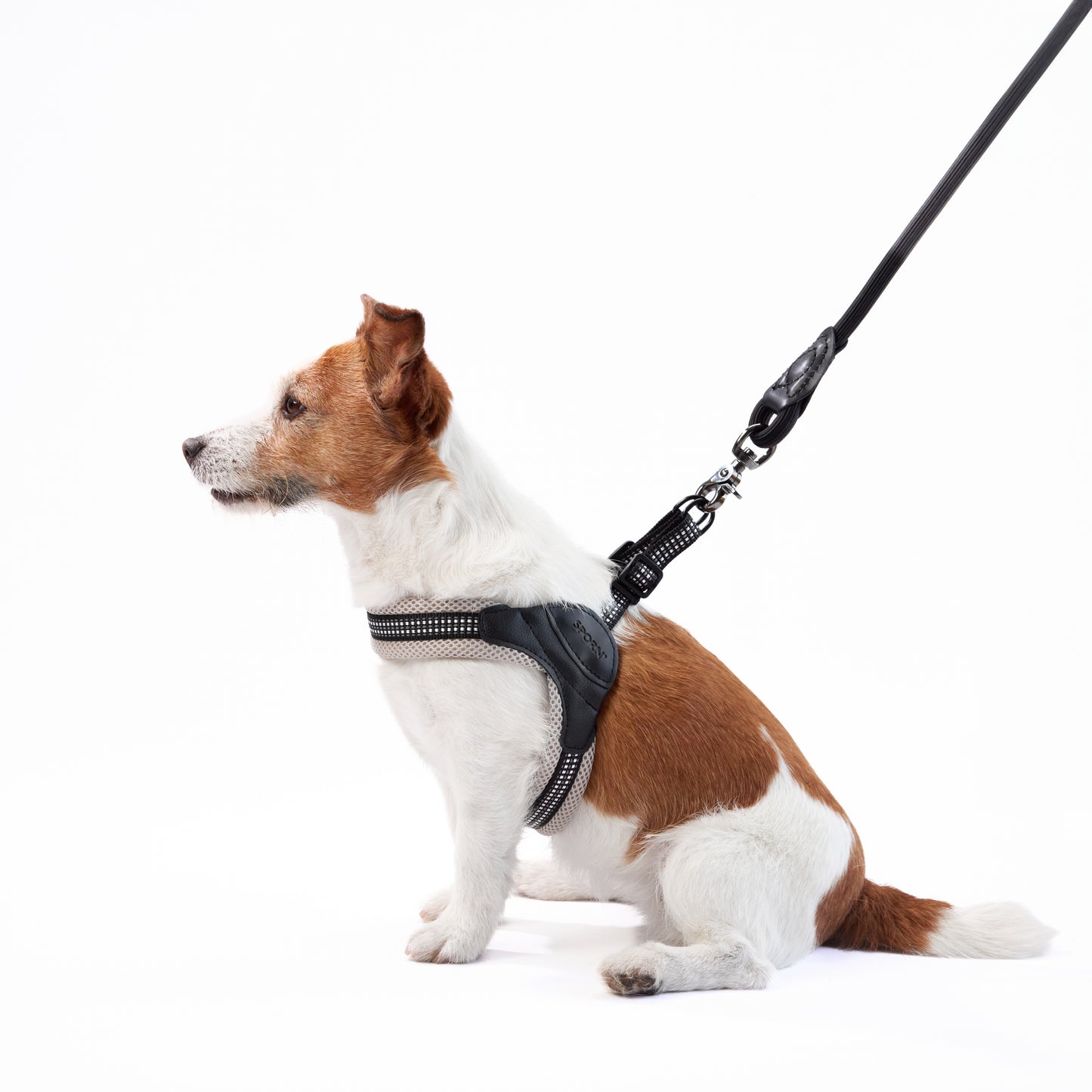 cheap harness for dogs but good quality 